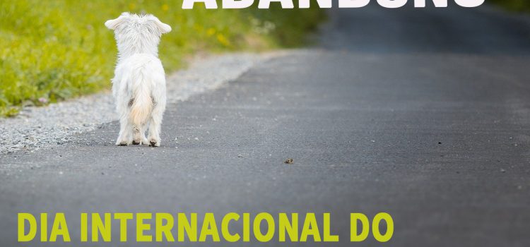 DIGA NÃO AO ABANDONO DOS ANIMAIS!