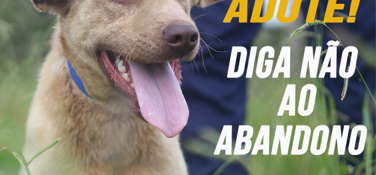 DIGA NÃO AO ABANDONO … ADOTE UM ANIMAL