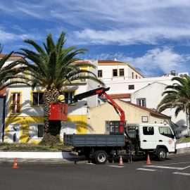 LIMPEZA E PODAS DE VEGETAÇÃO NA VILA DE VELAS