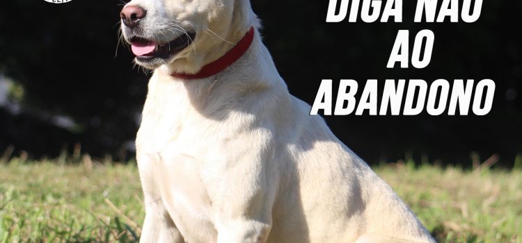DIGA NÃO AO ABANDONO … ADOTE UM ANIMAL
