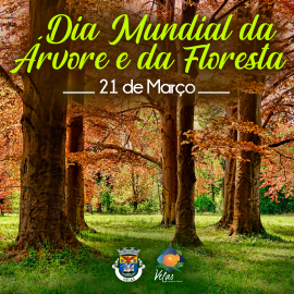 PROTEGER A FLORESTA, É PROTEGER A VIDA!