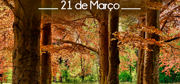 PROTEGER A FLORESTA, É PROTEGER A VIDA!