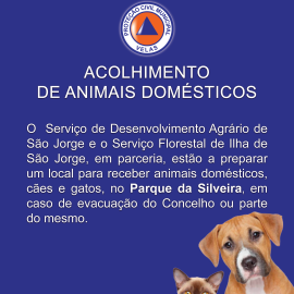 CRISE SÍSMICA – ACOLHIMENTO DE ANIMAIS DOMÉSTICOS
