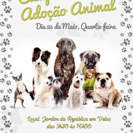 DIGA NÃO AO ABANDONO DOS ANIMAIS!