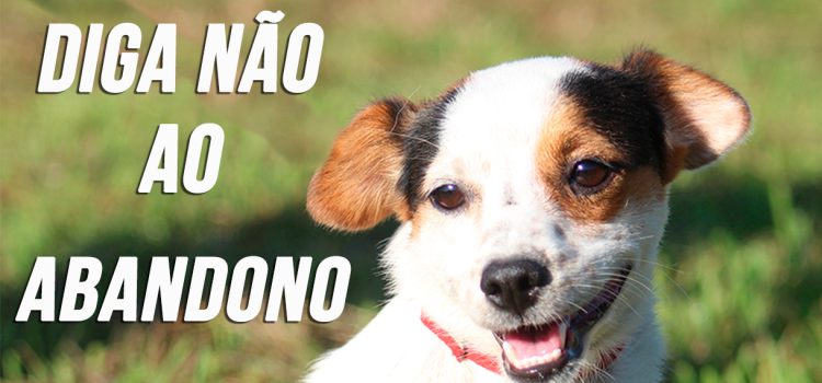 DIGA NÃO AO ABANDONO DOS ANIMAIS!