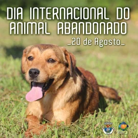 DIA INTERNACIONAL DO ANIMAL ABANDONADO