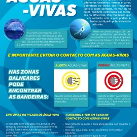 AVISO: ÁGUAS-VIVAS E CARAVELAS