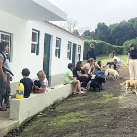CENTRO DE RECOLHA OFICIAL RECEBEU “DIA DO VOLUNTARIADO ANIMAL”