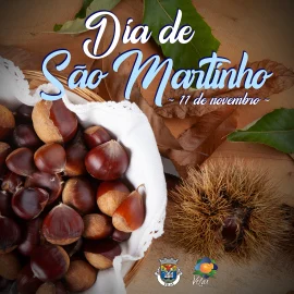 FELIZ DIA DE SÃO MARTINHO