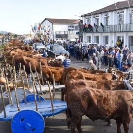 4º DIA DO CRIADOR DA RAÇA RAMO GRANDE
