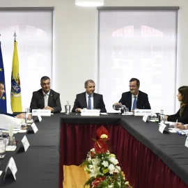 VELAS RECEBEU REUNIÃO DO CONSELHO CONSULTIVO PARA OS ASSUNTOS DA IMIGRAÇÃO