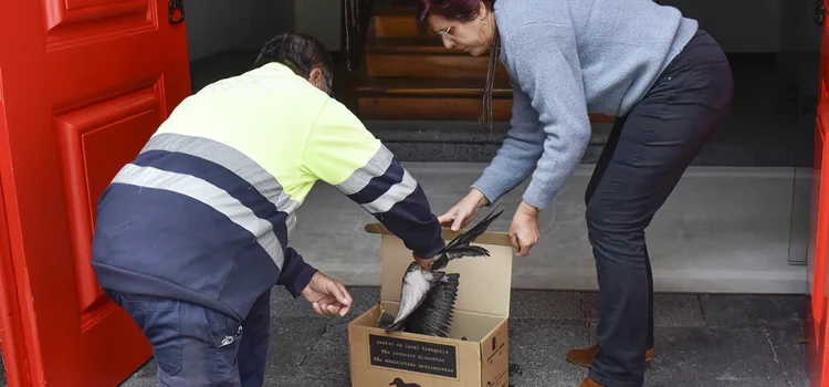 MUNICÍPIO COLABORA COM PROTEÇÃO DAS AVES MARINHAS