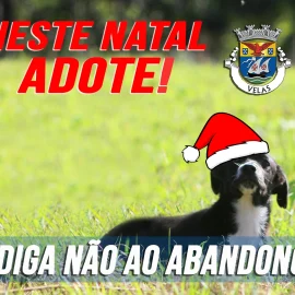 DIGA NÃO AO ABANDONO … ADOTE UM ANIMAL!