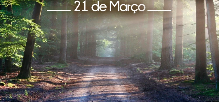 PROTEGER A FLORESTA, É PROTEGER A VIDA!