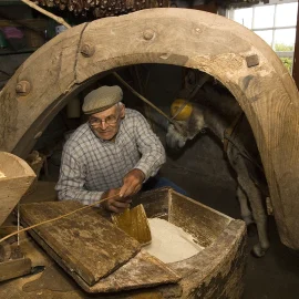 CONHEÇA O CONCELHO DE “VELAS, CAPITAL DO QUEIJO” PELAS SUAS TRADIÇÕES