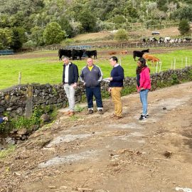 VISITA À FREGUESIA DE SANTO AMARO