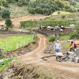 ARRANJOS NA ZONA DO DESTERRO EM SANTO AMARO
