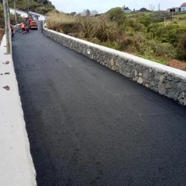 REABILITAÇÃO DA CANADA DE TRÁS EM ROSAIS REABILITAÇÃO DA CANADA DE TRÁS EM ROSAIS