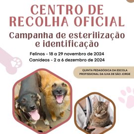 CAMPANHA DE ESTERILIZAÇÃO E IDENTIFICAÇÃO ANIMAL