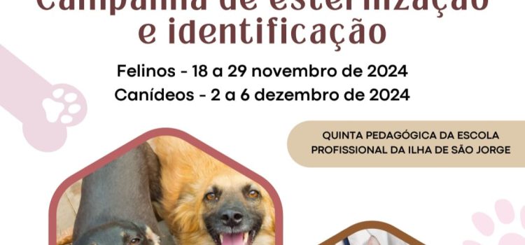 CAMPANHA DE ESTERILIZAÇÃO E IDENTIFICAÇÃO ANIMAL