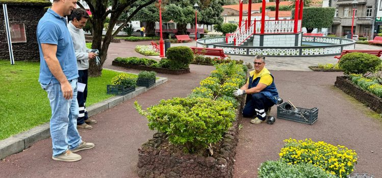 SERVIÇOS DE JARDINAGEM MUNICIPAIS