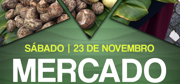 MERCADO MUNICIPAL ABRE PORTAS DIA 23 DE NOVEMBRO