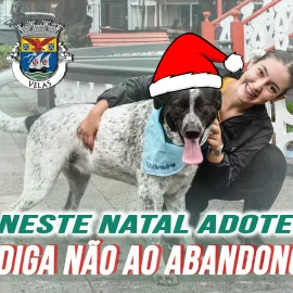 NESTE NATAL ADOTE