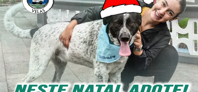 NESTE NATAL ADOTE