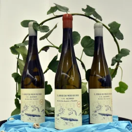 “S. JORGE DO MEIO DO MAR” É O PRIMEIRO VINHO CERTIFICADO DE SÃO JORGE