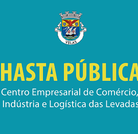 PROCEDIMENTO DE HASTA PÚBLICA