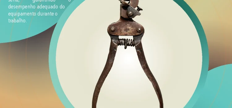 “PEÇA DO MÊS” NA CASA MUSEU CUNHA DA SILVEIRA