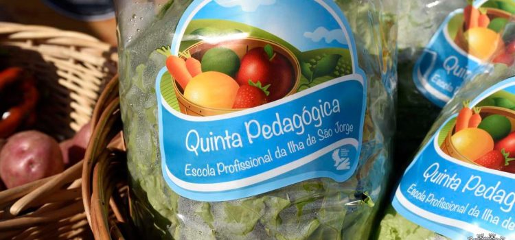 ESCOLA PROFISSIONAL LANÇA MARCA “QUINTA PEDAGÓGICA”