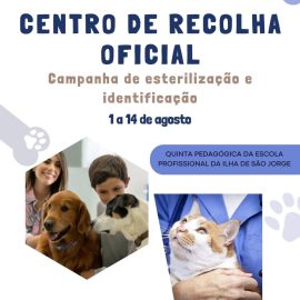 CAMPANHA DE ESTERILIZAÇÃO E IDENTIFICAÇÃO ANIMAL