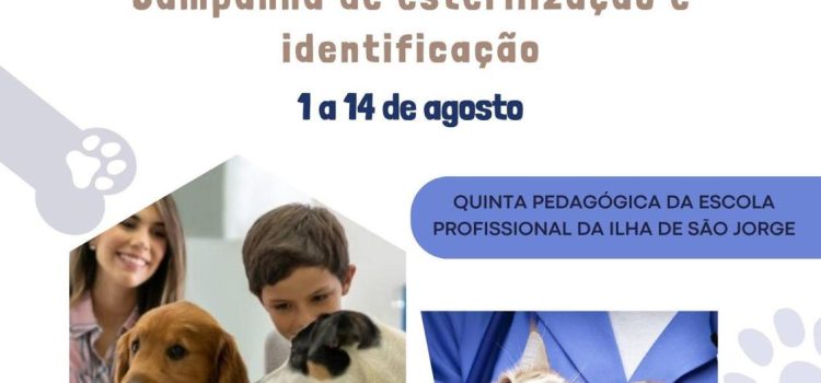 CAMPANHA DE ESTERILIZAÇÃO E IDENTIFICAÇÃO ANIMAL