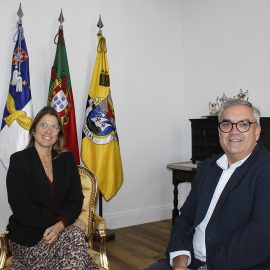 AUDIÊNCIA DE CUMPRIMENTOS AO DEPUTADO PAULO SILVEIRA