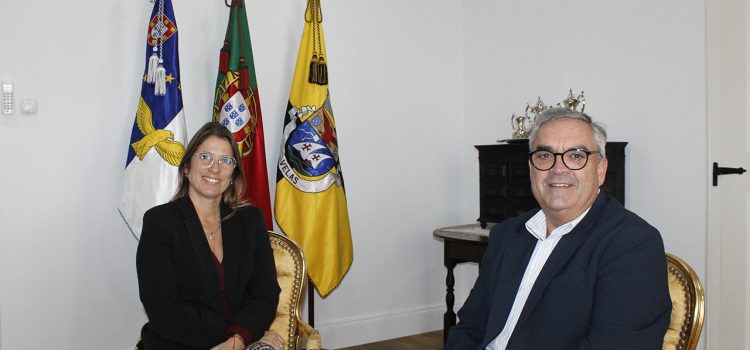 AUDIÊNCIA DE CUMPRIMENTOS AO DEPUTADO PAULO SILVEIRA