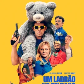 AUDITÓRIO MUNICIPAL RECEBE SESSÃO DE CINEMA COM O FILME “UM LADRÃO NO TELHADO”