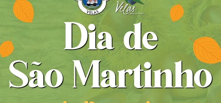 FELIZ DIA DE SÃO MARTINHO