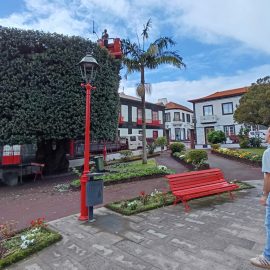 MUNICÍPIO REALIZA PODAS DE OUTONO