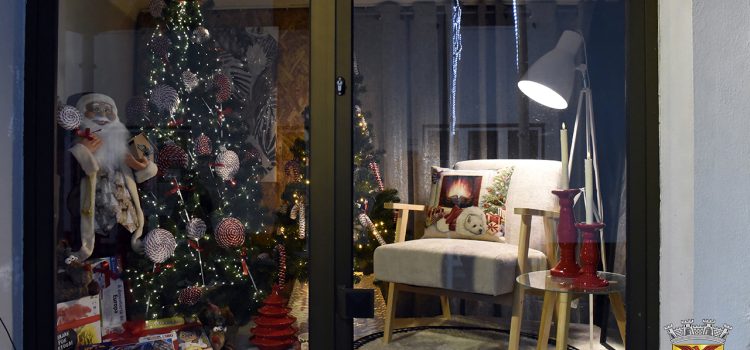 VENCEDORES DO CONCURSO DE MONTRAS 2025 VENCEDORES DO CONCURSO DE MONTRAS 2025