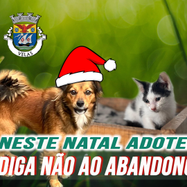 NESTE NATAL NÃO ABANDONE…  ADOTE!