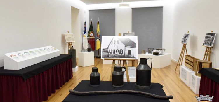 VELAS ASSINALA “DIA MUNDIAL DO QUEIJO”