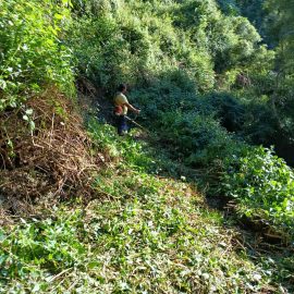 TRABALHOS DE MANUTENÇÃO DO ACESSO À NASCENTE DAS LADEIRAS