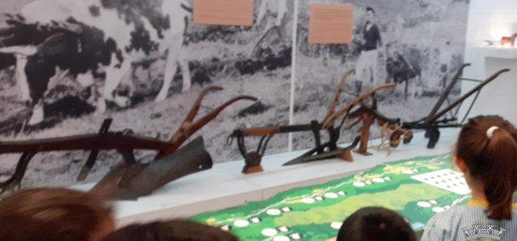 ALUNOS DA CASA DA PROVIDÊNCIA DE SÃO JOSÉ – “O GOLFINHO” VISITAM A CASA MUSEU CUNHA DA SILVEIRA