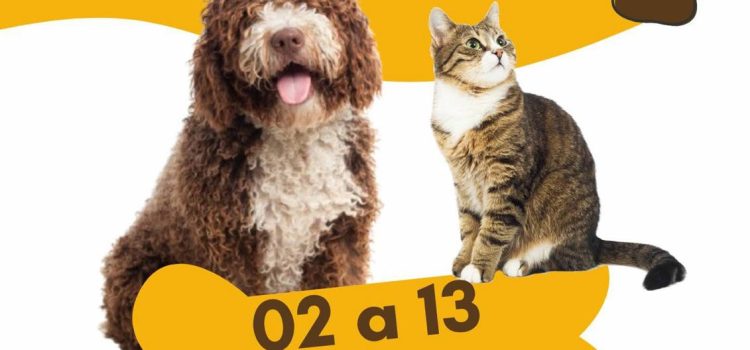 3ª CAMPANHA DE ESTERILIZAÇÃO E IDENTIFICAÇÃO ANIMAL