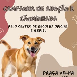 CAMPANHA DE ADOÇÃO ANIMAL