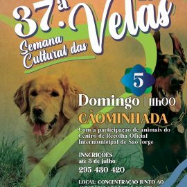 INSCREVA-SE NA ATIVIDADE DA CÃOMINHADA