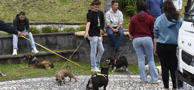AUTARQUIA PROMOVEU MAIS UMA CAMPANHA DE ADOÇAO ANIMAL