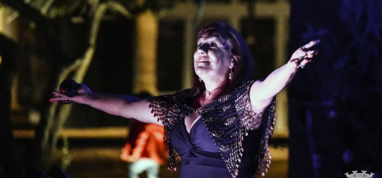 CENTRO HISTÓRICO RECEBEU NOITE DE FADOS