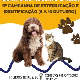4ª CAMPANHA DE ESTERILIZAÇÃO E IDENTIFICAÇÃO ANIMAL 4ª CAMPANHA DE ESTERILIZAÇÃO E IDENTIFICAÇÃO ANIMAL
